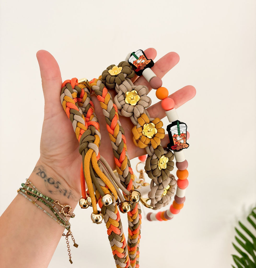 Miniatura: Laisse + Poignée 