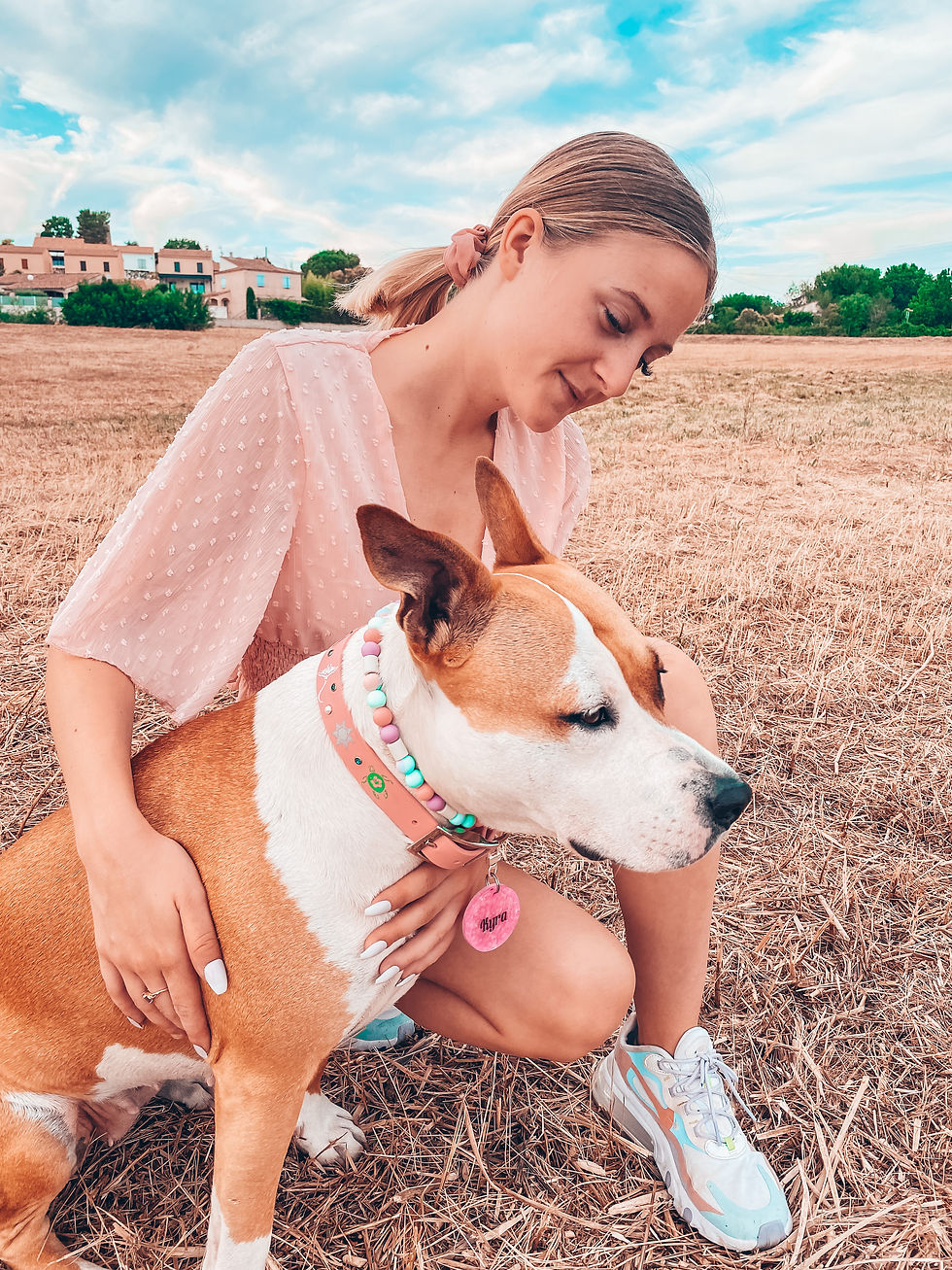 IMG_8223
