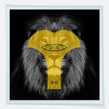 Screen Shot 2022-09-21 at 4.39.27 PM.png