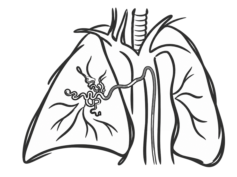 Bronchial.png