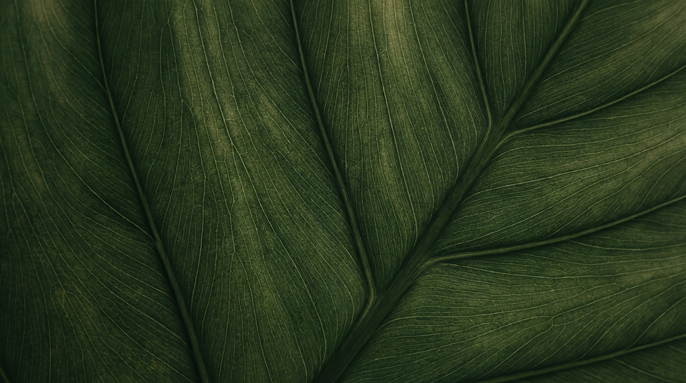 Gemini 3 (Nano Banana Pro)_0002.png