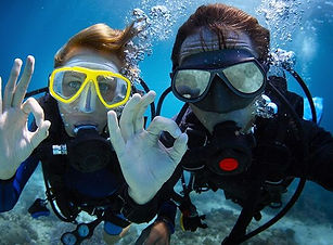 bodrum dalış turu, Bodrum Amatör Dalış, Bodrum su altı turu, Bodrum dalış 2021, Bodrum balık turu
