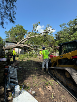 20240803_161211174_iOS