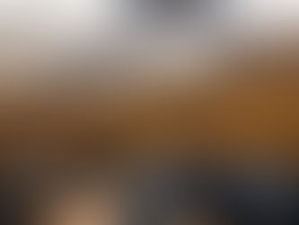 Brown Bag with Judge Michael Berg