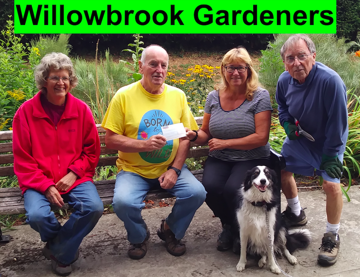 Willow Brook