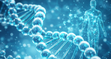 Peptide Human Pic.png