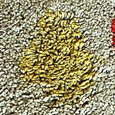 Remove Sunny D Stain From Carpet-min.jpg