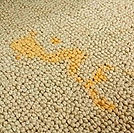 Urine (Odour Removal)-min.jpg