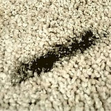 Remove Shoe Polish Stains From Carpet-min.jpg