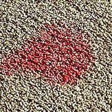 Remove Red Gatorade Stain From Carpet-min.jpg