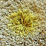 Remove Mustard Stain From Carpet-min.jpg