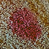 Remove Purple Kool-Aid Stain From Carpet-min.jpg