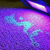 Urine (Find Urine Stains With UV Light)-min.jpg