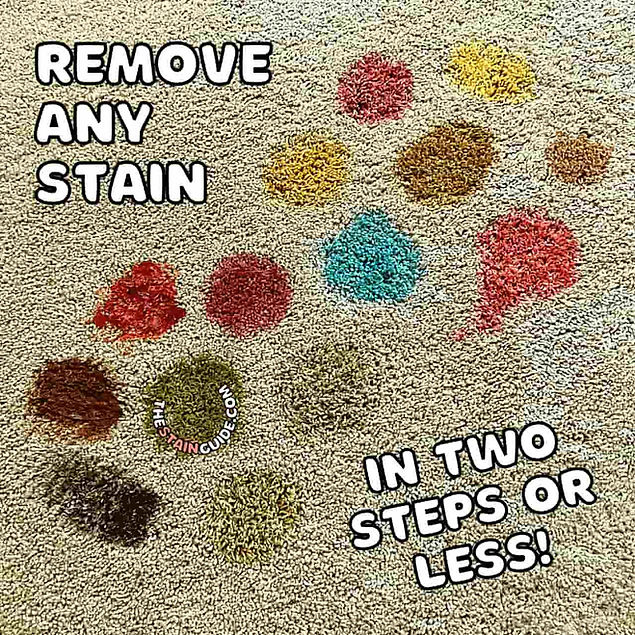 Remove Any Stain in 2 Steps COM.jpg