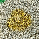 Remove Yellow Food Coloring Stain From Carpet-min.jpg