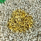 Remove Yellow Food Coloring Stain From Carpet-min.jpg
