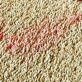 Remove Cream Soda Stain From Carpet-min.jpg