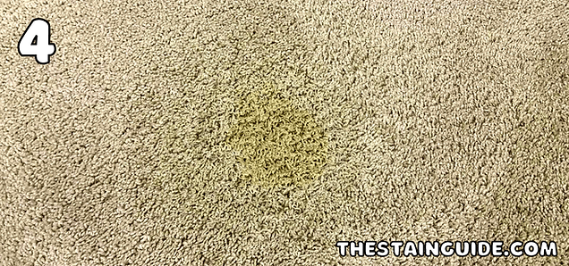 How to Remove Red Wine Stains From Carpet - Step 4