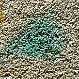 Remove Blue Kool-Aid Stain From Carpet-min.jpg