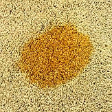 Remove Coffee From Carpet-min.jpg