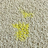 Remove Curry Stain From Carpet-min.jpg