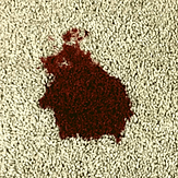 Wine (Red)-min.png