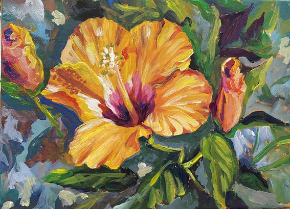 Hibiscus Trio