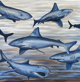 Shark Friendsy