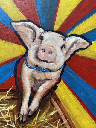 First Place Pig