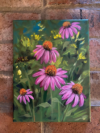 Cone Flowers