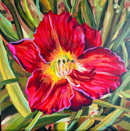 Day Lily