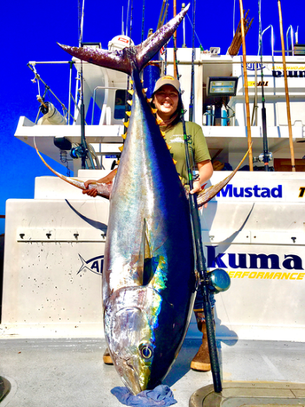 Yellowfin Tuna