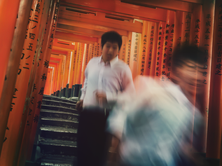Javier_Montes_dArce_Hanami_10_Fushimi_In