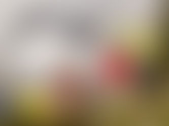 Why Your Guides Are Your Brand (Not Your Equipment)