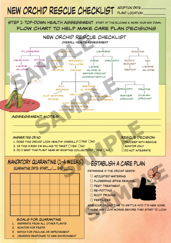 New Rescue Worksheet