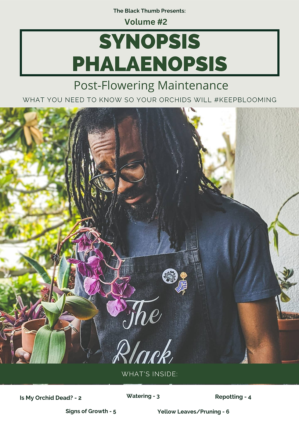 Thumbnail: Synopsis Phalaenopsis Vol. 1-2 Bundle