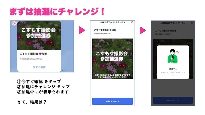 抽選1.webp