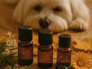 Sanfte Begleitung aus der Natur