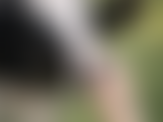 Die stille Sprache verstehen:                      Wie Tierkommunikation die ganzheitliche Gesundheit unterstützt