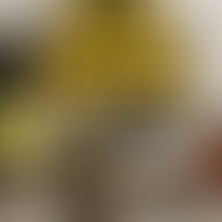 Alimentos tóxicos para cães: 7 perigos escondidos na sua cozinha