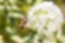 Feldis Yoga Retreat 10.9.23 Websize-87.JPG