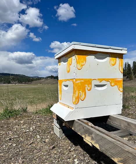 Bees | Ferry Conservation