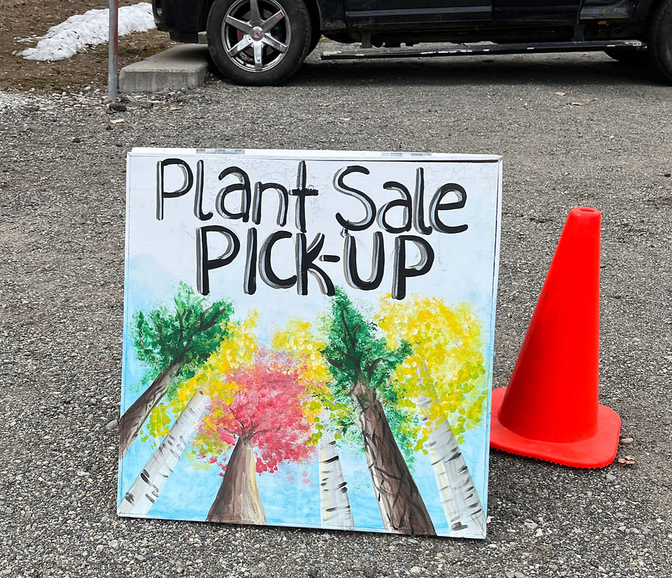 Plant Sale Pickup