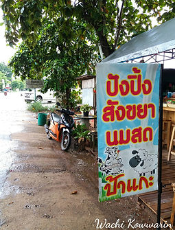 ธงญี่ปุ่น