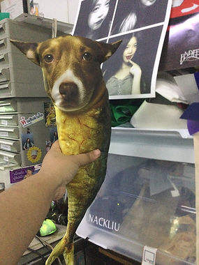 หมอนผ้าห่ม