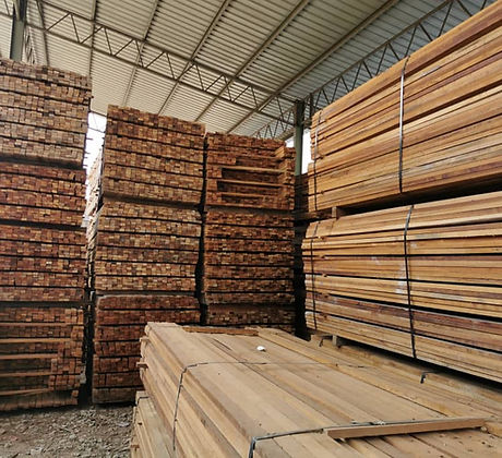 timber-supplier-malaysia