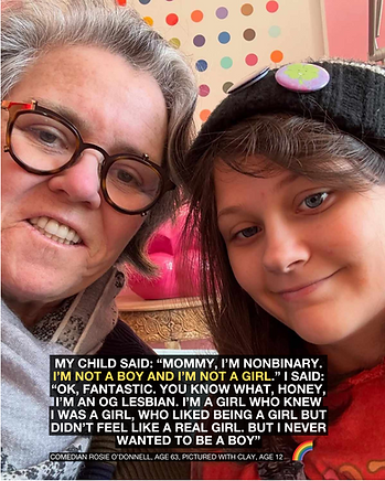 INSTA rosie o'donnell_USE.png