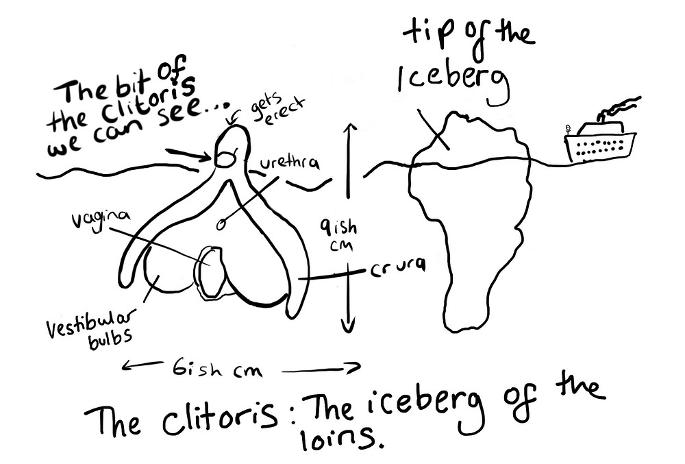Diagram of "The clitoris: the iceberg of the loins"