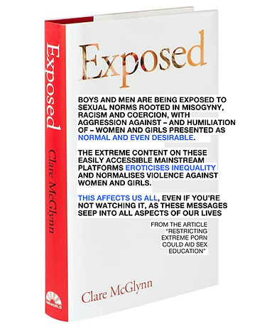 INSTA exposed by clare mcGlynn_porn_USE.png