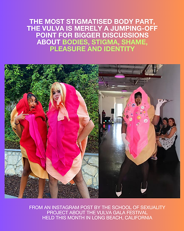 INSTA vulva gala_USE.png
